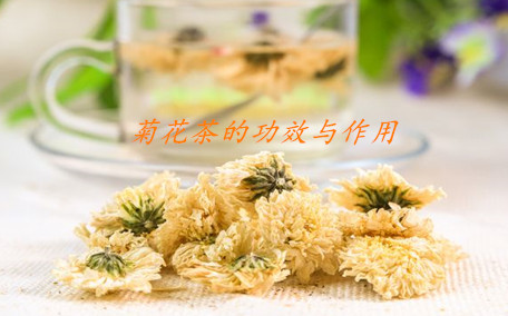 菊花茶是綠色的正常嗎 菊花茶最好現(xiàn)泡現(xiàn)喝