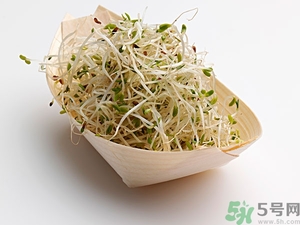 豆芽可以生吃嗎？豆芽炒粉條的家常做法