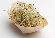 豆芽可以生吃嗎？豆芽炒粉條的家常做法