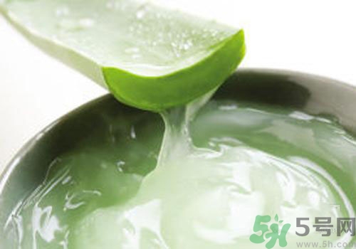 蘆薈膠可以天天用嗎？蘆薈膠天天用好不好？