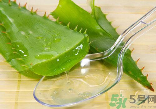 孕婦可以用蘆薈膠嗎？蘆薈膠孕婦可以用嗎？
