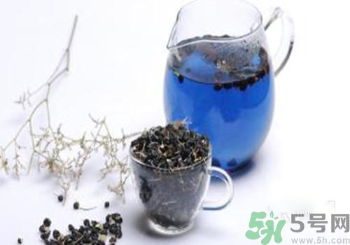 黑枸杞能用開水泡嗎？黑枸杞的沖泡方法