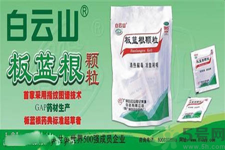 感冒了吃板藍(lán)根有效嗎？感冒了吃板藍(lán)根有用嗎？