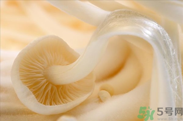 致癌金針菇怎么鑒別？如何選購金針菇？