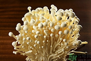 致癌金針菇怎么鑒別？如何選購金針菇？