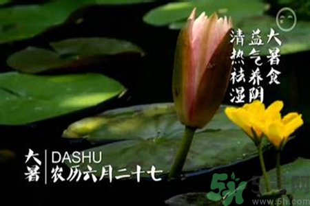 大暑吃什么養(yǎng)生？大暑吃什么好？