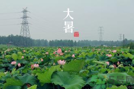 大暑吃什么養(yǎng)生？大暑吃什么好？
