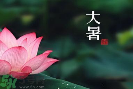 大暑為什么要吃羊肉？大暑吃羊肉的原因