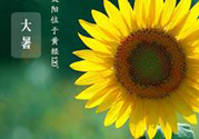大暑是幾月幾日？大暑是什么意思？