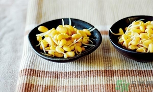 黃豆芽能涼拌嗎？涼拌黃豆芽的家常做法