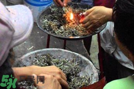 夏天可以用艾草驅(qū)蚊嗎？夏天可不可以用艾草驅(qū)蚊？