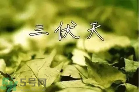 三伏天什么時候結(jié)束？三伏天是哪幾天？