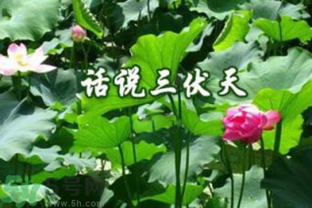 三伏天吃什么？三伏天傳統(tǒng)美食有哪些？