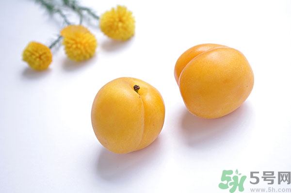 吃杏子能減肥嗎？杏子的功效與作用