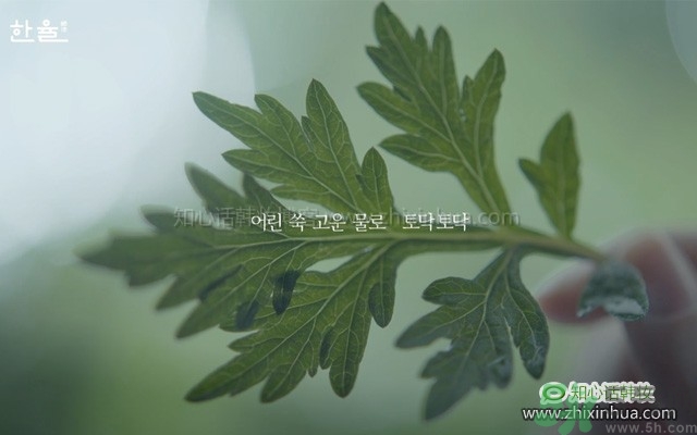 韓律艾草補水鎮(zhèn)靜噴霧怎么樣？好用嗎？