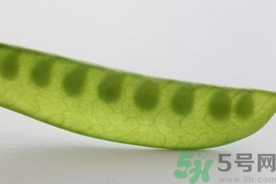 煮豌豆怎么做好吃？煮豌豆的做法