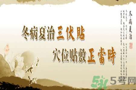 貼三伏貼癢怎么回事？貼三伏貼過(guò)敏怎么辦？