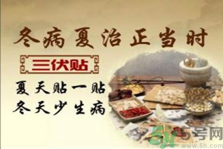 胃病可以貼三伏貼嗎？胃病貼三伏貼貼哪里？
