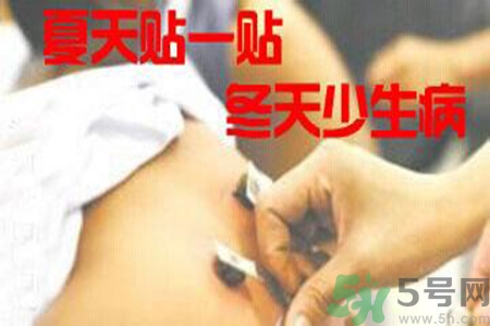肝炎貼三伏貼有用嗎？肝病貼三伏貼貼哪里？