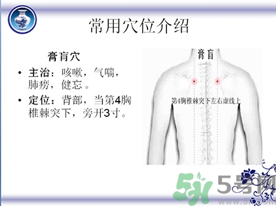 三伏貼可以貼肚臍嗎？三伏貼可以貼肚臍眼嗎？