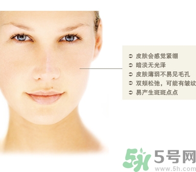 干性皮膚用什么洗面奶？干性皮膚該怎么保養(yǎng)？