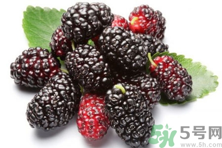 桑葚怎么洗？桑葚怎么保存？