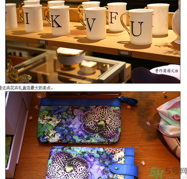 野獸派是什么牌子？野獸派怎么樣？