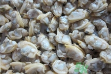 花蛤的營養(yǎng)價值有哪些？生取蛤肉的方法是什么？