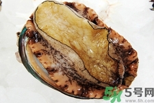鮑魚如何挑選？鮑魚如何保存？