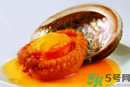 鮑魚(yú)如何挑選？鮑魚(yú)如何保存？