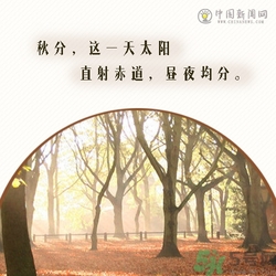 立秋是秋分嗎？立秋和秋分的區(qū)別？
