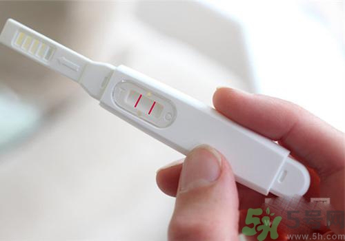驗孕棒是什么原理？驗孕棒是不是一定要用晨尿？