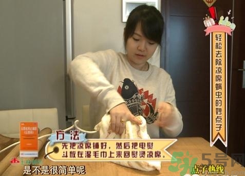 怎么判斷涼席有沒有螨蟲？涼席上的螨蟲怎么去除？