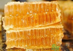蜂膠是什么東西？蜂膠可以長期服用嗎？