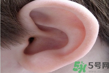 耳朵癢是怎么回事？耳朵癢怎么辦？