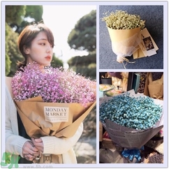 七夕送女朋友什么花？七夕送女朋友花送幾朵？