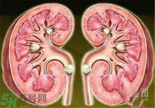 慢性腎炎能治好嗎？慢性腎炎能活多久？