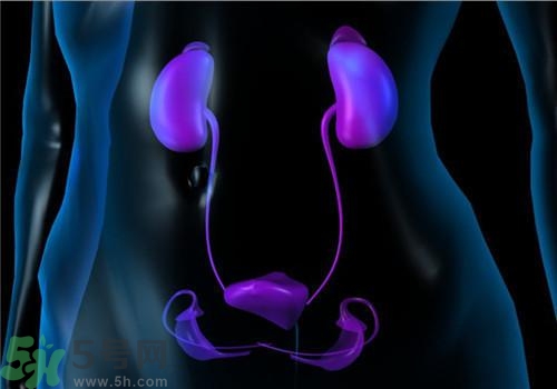 慢性腎炎能治好嗎？慢性腎炎能活多久？