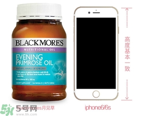 澳佳寶月見(jiàn)草油膠囊真假怎么辨別?