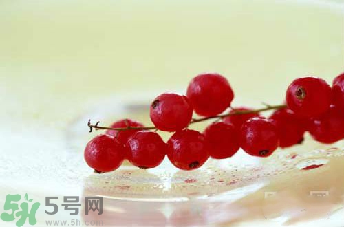 蔓越莓的功效作用 蔓越莓的營養(yǎng)價(jià)值食用禁忌
