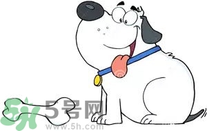 七夕單身狗怎么過？單身怎么過七夕？