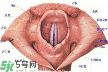 慢性咽炎的發(fā)病因素？慢性咽炎的并發(fā)癥有哪些？