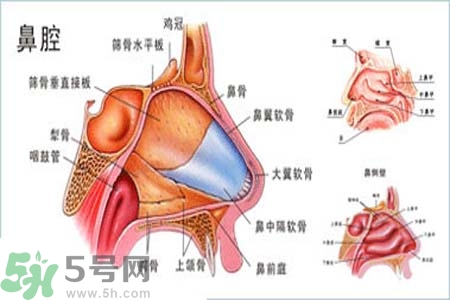鼻竇炎的護(hù)理措施？鼻竇炎的飲食護(hù)理？