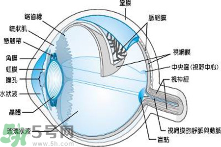 近視眼是什么？近視眼的癥狀有哪些？