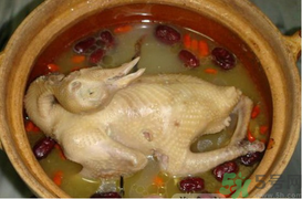 孕婦可以喝鴿子湯嗎？鴿子湯的功效與作用