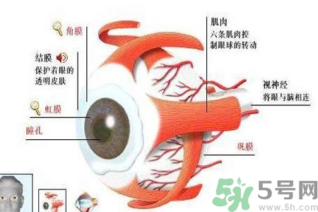 白內(nèi)障的護(hù)理措施是什么？白內(nèi)障的飲食護(hù)理有哪些？