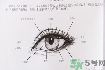 白內(nèi)障的發(fā)病因素是什么？白內(nèi)障并發(fā)癥有哪些？