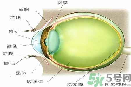 青光眼的治療方法有哪些？青光眼可以哪些藥物治療？