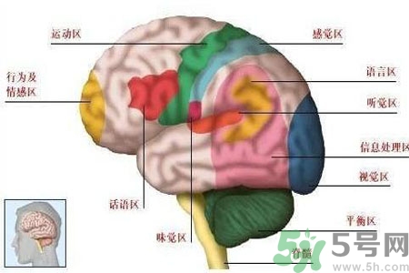 腦出血的發(fā)病因素是什么？腦出血的并發(fā)癥有哪些？
