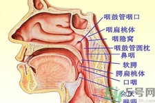 鼻咽癌的日常措施是什么？鼻咽癌注意的飲食有哪些？